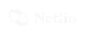 Netlio AI